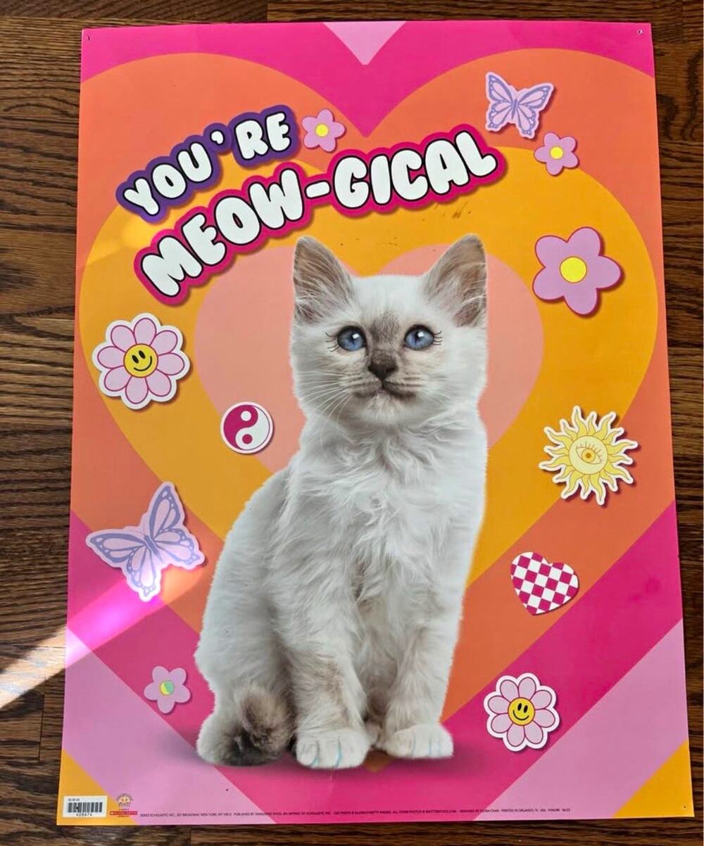 YOU'RE MEOW-GICAL Cat Poster Pop Art Medium Unframed Animal Theme